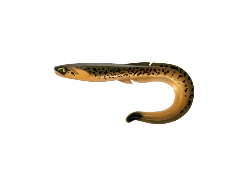 leurre-souple-fishup-ram-grub-255mm-2-302.jpg leurre-souple-fishup-ram-grub-255mm-2-302.jpg