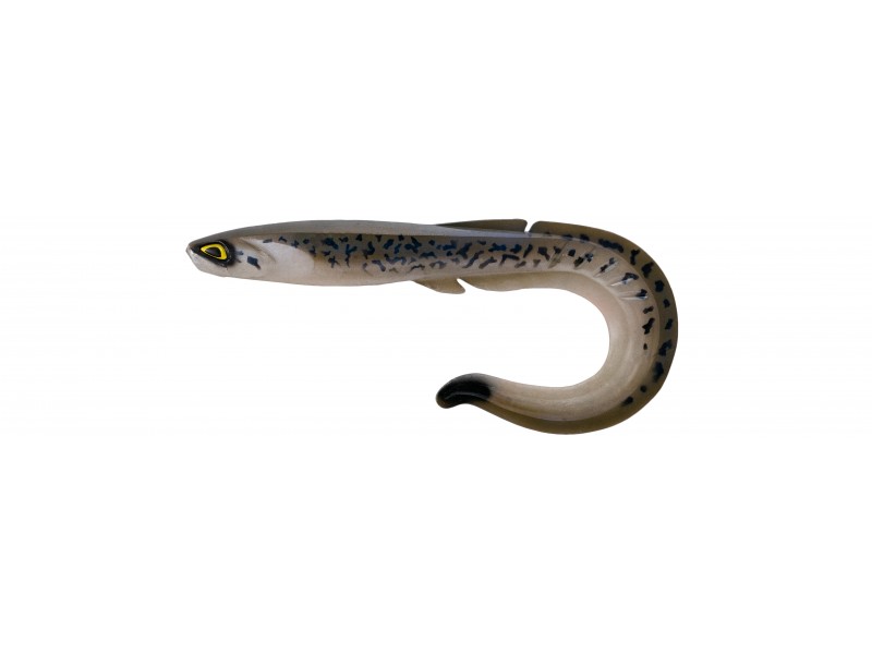 leurre-souple-fishup-ram-grub-255mm-301.jpg leurre-souple-fishup-ram-grub-255mm-301.jpg