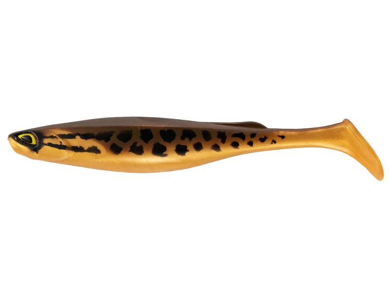 Leurre Souple Fishup Ram Shad 228mm-360 Leurre Souple Fishup Ram Shad 228mm-360
