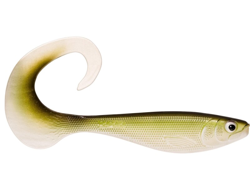 leurre-souple-rapala-soft-otus-180mm-13-mnw.jpg leurre-souple-rapala-soft-otus-180mm-13-mnw.jpg