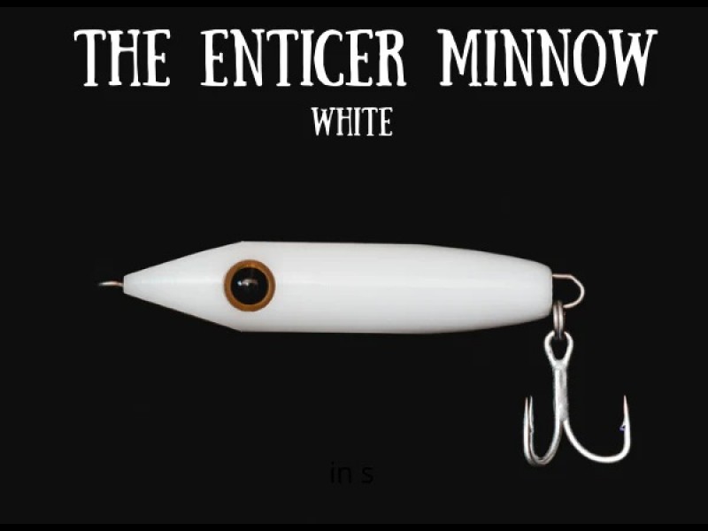 leurre-top-fishing-enticer-minnow-110mm.jpg leurre-top-fishing-enticer-minnow-110mm.jpg
