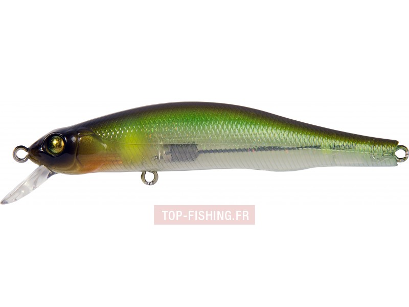leurre-zbl-system-minnow-90-s-sr-couleur-669.jpg leurre-zbl-system-minnow-90-s-sr-couleur-669.jpg