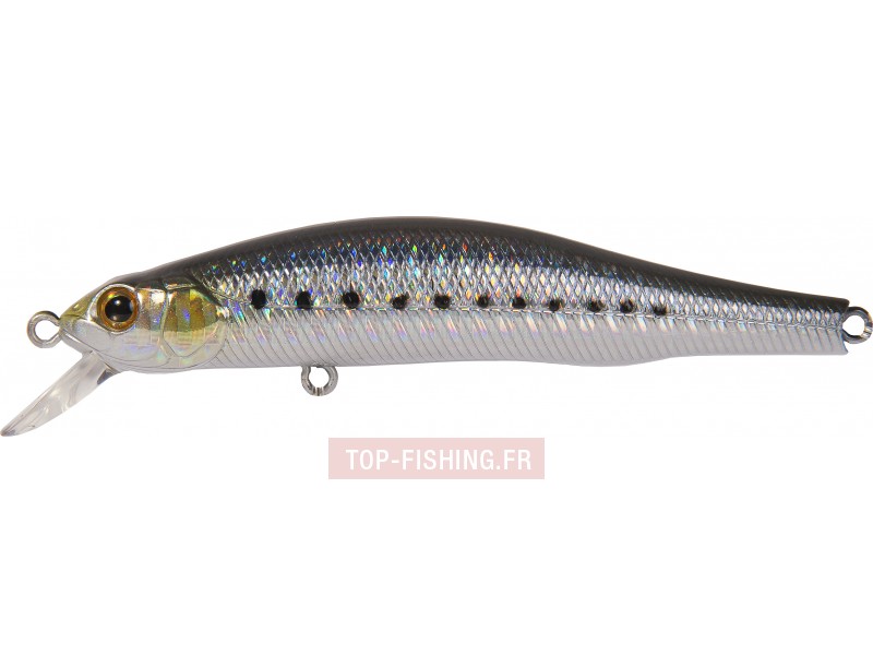 leurre-zbl-system-minnow-90-s-sr-couleur-718.jpg leurre-zbl-system-minnow-90-s-sr-couleur-718.jpg