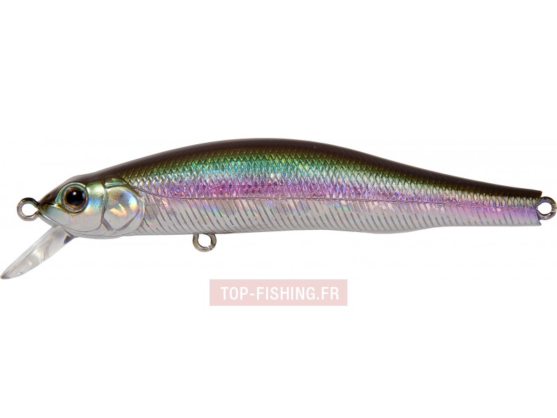 leurre-zbl-system-minnow-90-s-sr-couleur-869.jpg leurre-zbl-system-minnow-90-s-sr-couleur-869.jpg