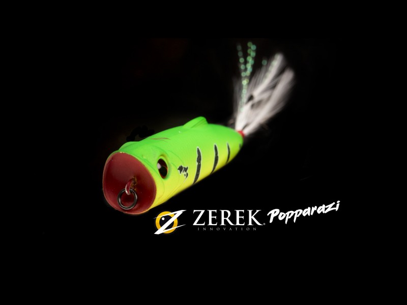 leurre-zerek-popparazzi-50-main-2.jpg