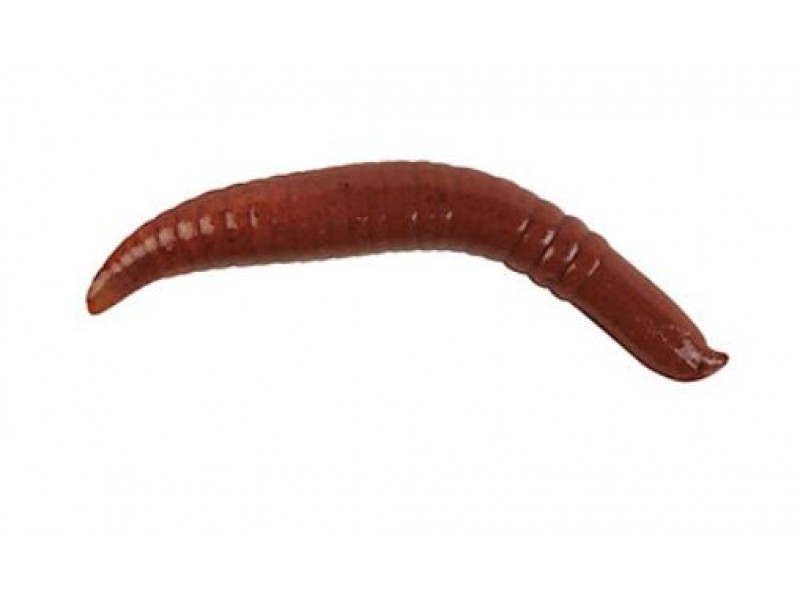 leurres-berkley-gulp-floating-crawler-25mm-nighcrawler.jpg leurres-berkley-gulp-floating-crawler-25mm-nighcrawler.jpg