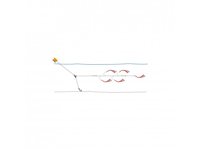 ligne-de-traine-bateau-flashmer-ecoline-5-eltbgu.jpg