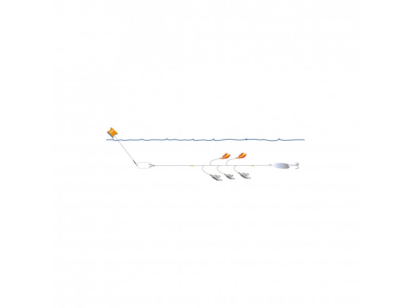 ligne-de-traine-bateau-flashmer-ecoline-6-eltbir.jpg