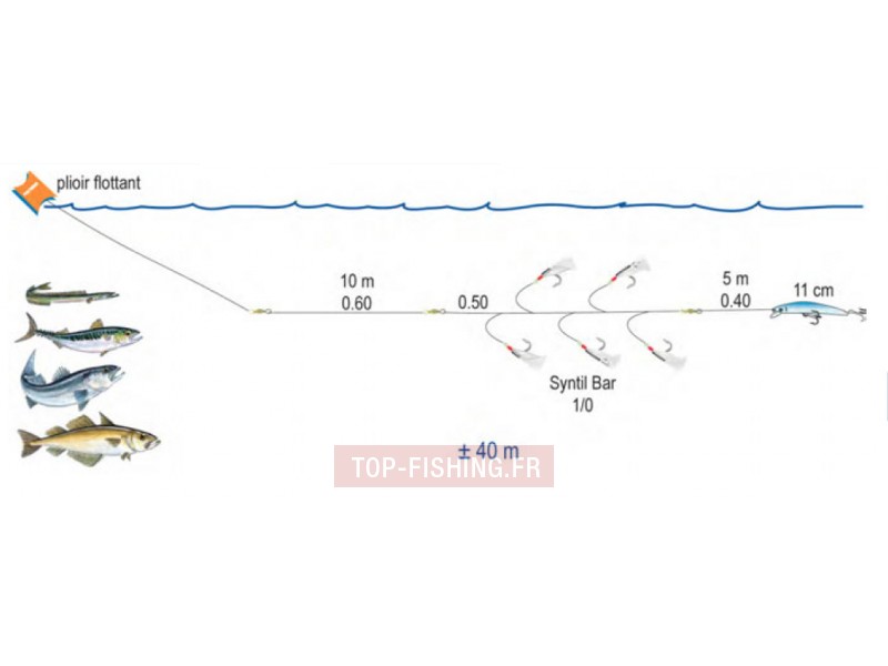 ligne-de-traine-bateau-poisson-nageur-ecoline-2.jpg