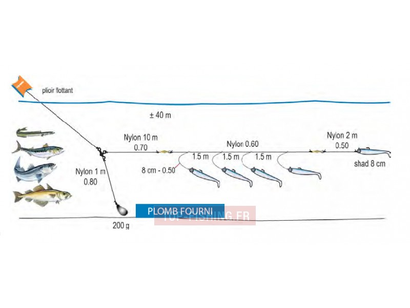 ligne-de-traine-bateau-shad-ecoline-2.jpg ligne-de-traine-bateau-shad-ecoline-2.jpg