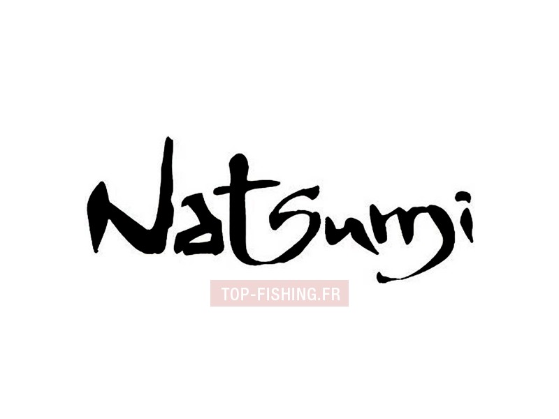 logo-natsumi-system.jpg