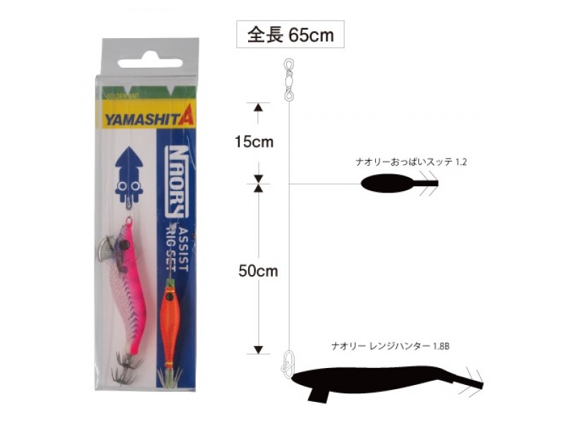 montage-yamashita-naory-assist-rig-set-basic-type-1-8-cnrars18ba.jpg