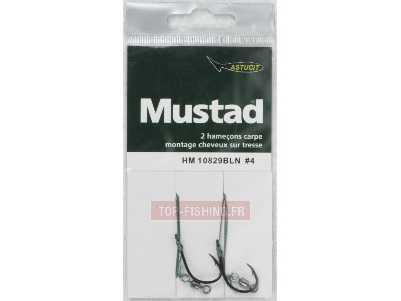 montages-cheveux-carpe-mustad-10829bln.jpg montages-cheveux-carpe-mustad-10829bln.jpg