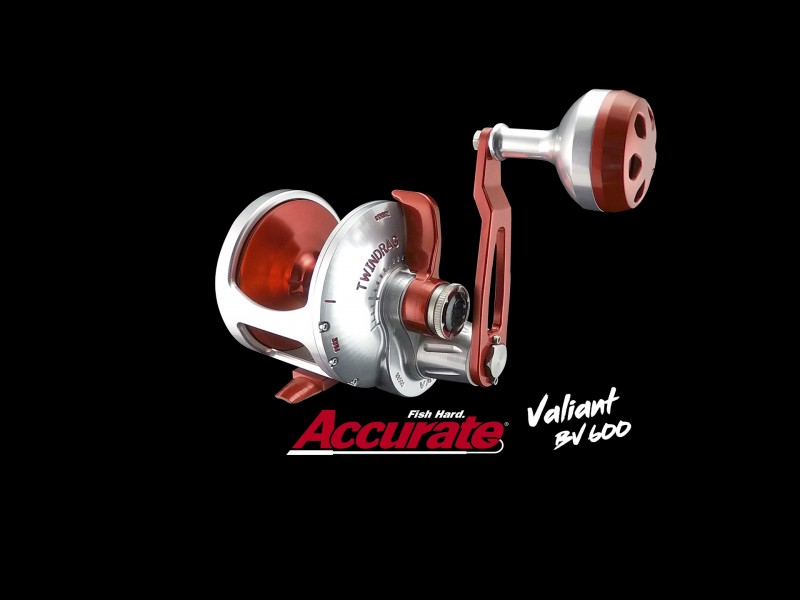 moulinet-accurate-valiant-bv600.jpg moulinet-accurate-valiant-bv600.jpg