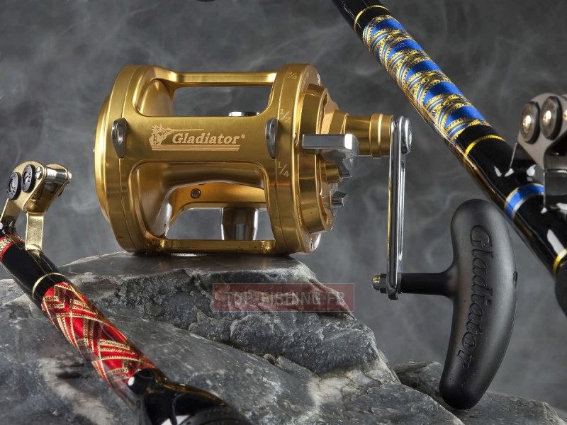 moulinet-gladiator1.jpg moulinet-gladiator1.jpg
