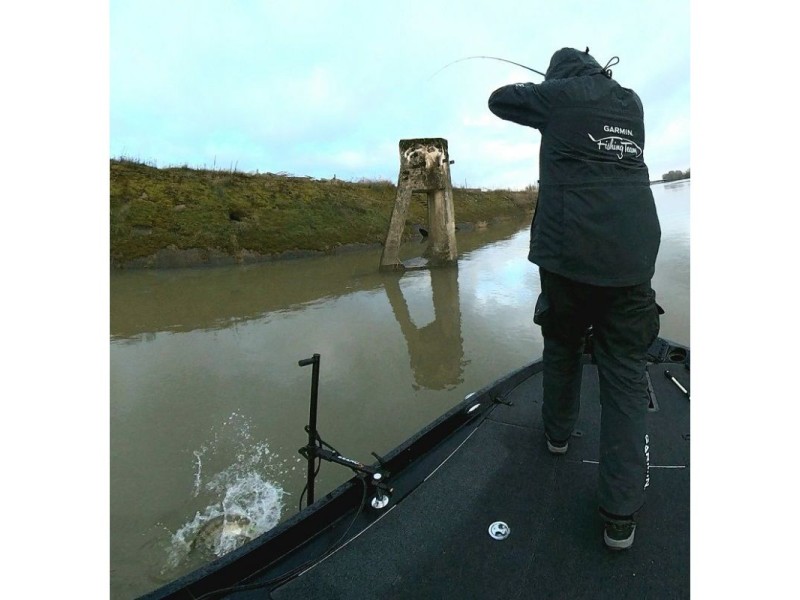 Perche De Sonde Live Seanox Perche De Sonde Live Seanox