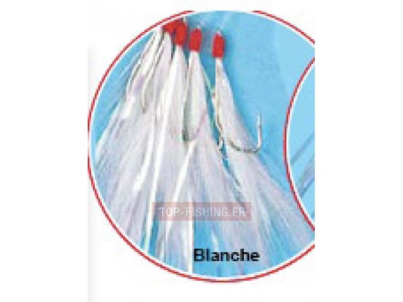 plumes-filaments-blanc.jpg plumes-filaments-blanc.jpg