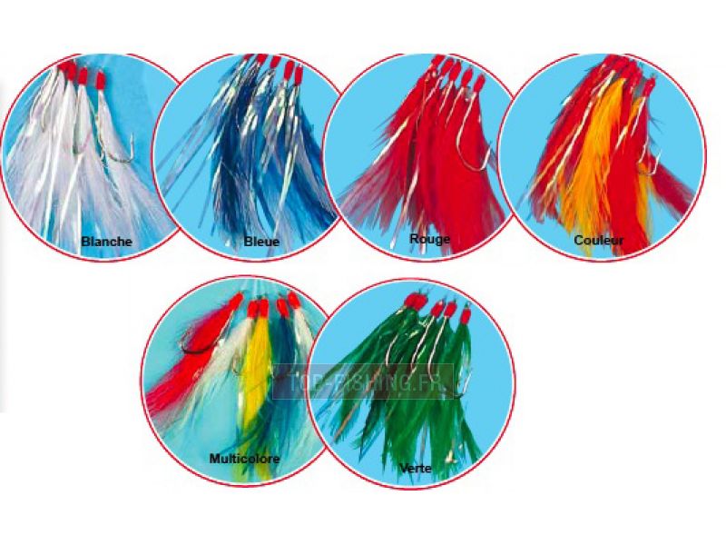 plumes-filements.jpg plumes-filements.jpg