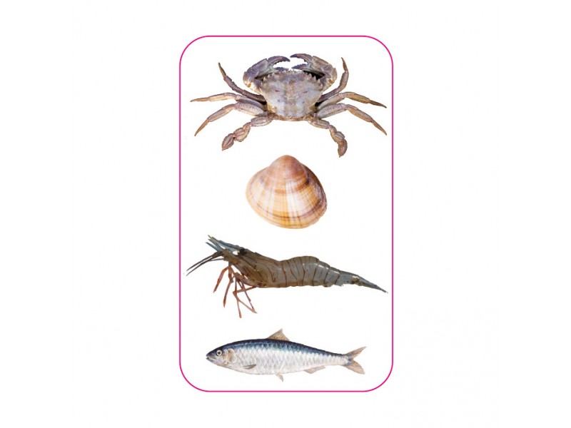 sac-a-poisson-et-coquillage-flashmer-2.jpg sac-a-poisson-et-coquillage-flashmer-2.jpg