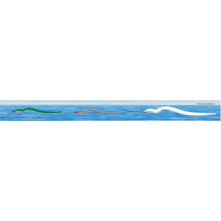 silic-leurre1.jpg