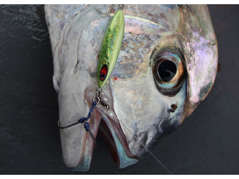 slow-jig-maxel-drunker-jigs-40g-8.jpg slow-jig-maxel-drunker-jigs-40g-8.jpg