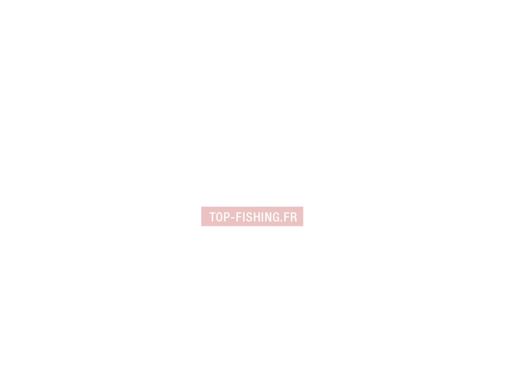 t-te-transparente-savagear-4play-lipsculls-1.jpg
