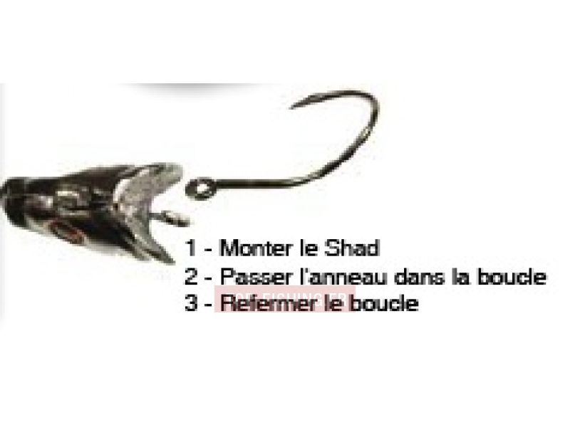 tete-poisson-plombee-articulee.jpg tete-poisson-plombee-articulee.jpg