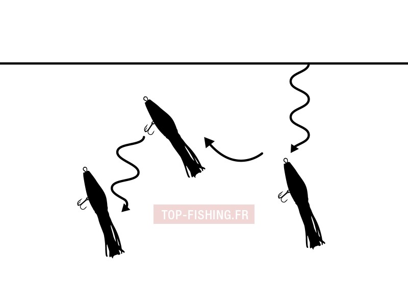 top-sea-live-squid-action.jpg top-sea-live-squid-action.jpg