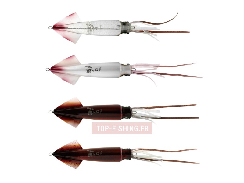top-sea-live-squid-palette-couleurs.jpg top-sea-live-squid-palette-couleurs.jpg