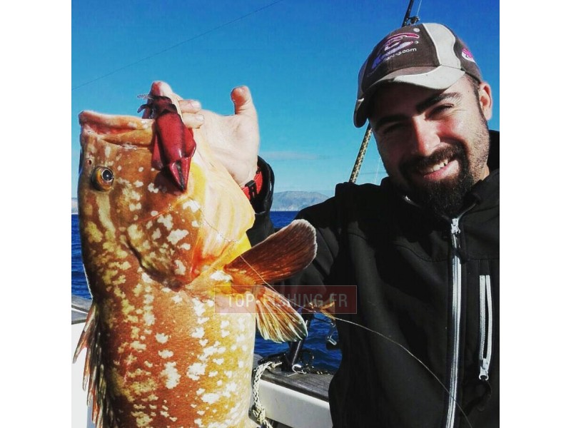 top-sea-realis-squid-lure-3.jpg