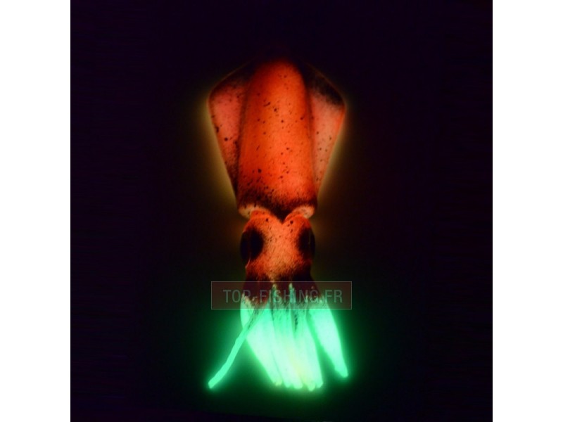 top-sea-realis-squid-lure-6.jpg
