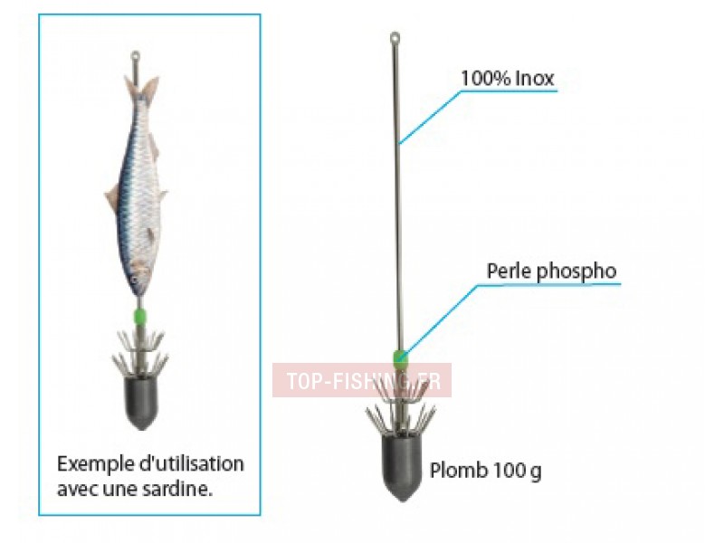 turlutte-aiguille-plombee-flashmer-2.jpg turlutte-aiguille-plombee-flashmer-2.jpg