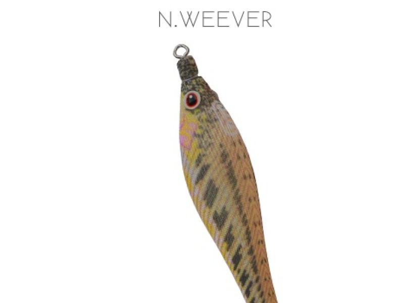turlutte-dtd-soft-pauk-2-0n.weever.jpg turlutte-dtd-soft-pauk-2-0n.weever.jpg