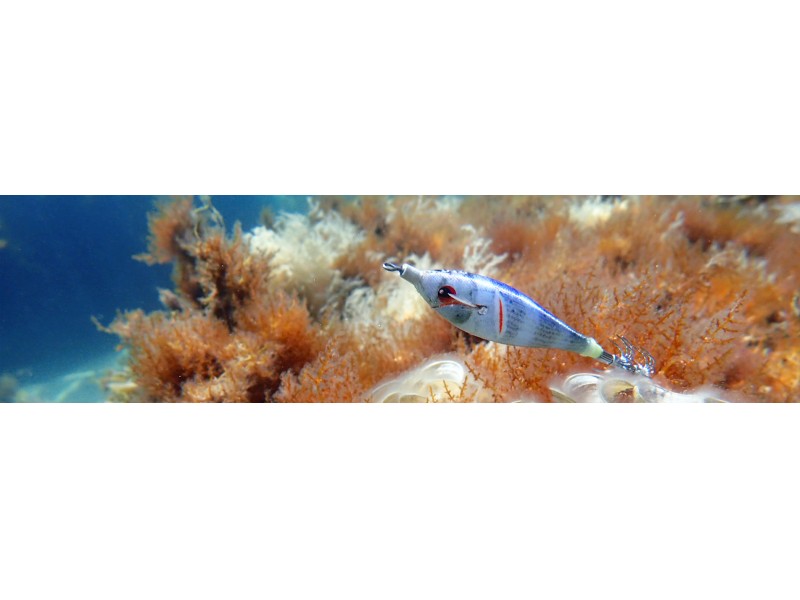 turlutte-dtd-wounded-fish-70mm-9.jpg