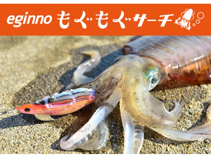 turlutte-yamashita-eginno-mogumogu-3-2-20g-5.jpg