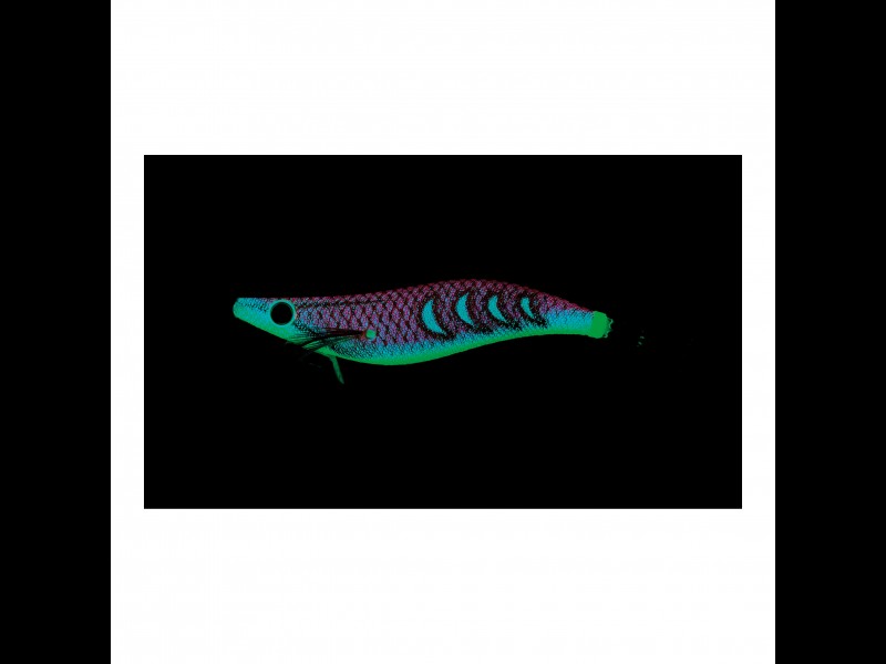 turlutte-yo-zuri-aurie-q-search-double-glow-2-5-10-5g-9-dlpi.jpg