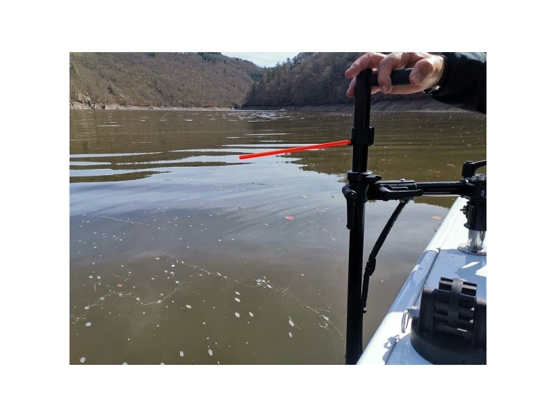 Viseur Perche De Sonde Live Pike'n Bass Viseur Perche De Sonde Live Pike'n Bass