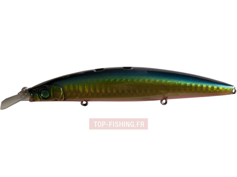 zonk120-ggblupin.jpg