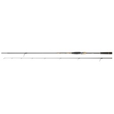 Canne Daiwa Morethan Branzino Expert