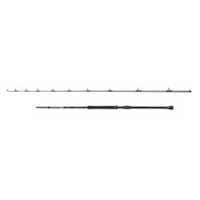 Canne Penn Regiment IV Boat Braid Rod