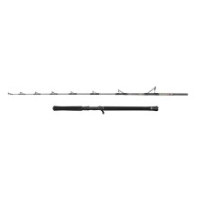 Canne Penn Regiment IV Jig Cast Rod