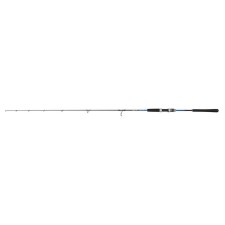 Canne Penn Retaliate X Jigging Spin Rod