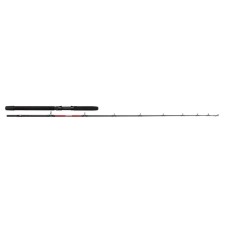 Canne Penn Warfare Light Trolling Rod