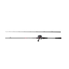 Ensemble Abu Garcia Max Lp Pike Combo