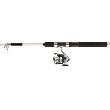 Ensemble Daiwa Set Tele Spin