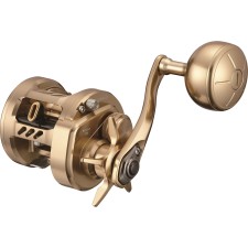 Moulinet Daiwa Basara 21