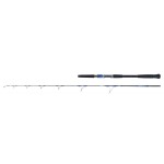 canne-daiwa-saltiga-jigging-sgjg58hsbf.jpg