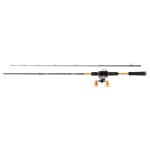 ensemble-abu-garcia-max-stx-casting-combo.jpg