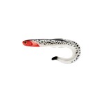 leurre-souple-fishup-ram-grub-254mm-306.jpg