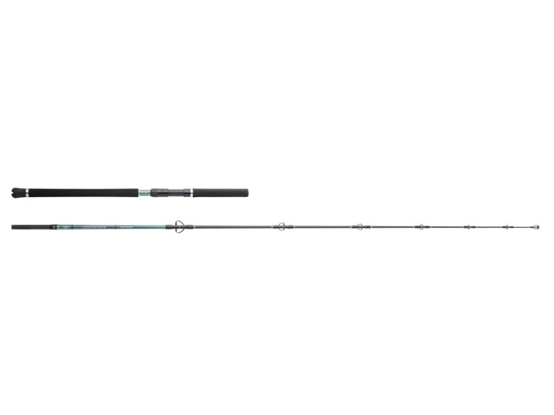 Canne Hearty Rise Monster Game Tuna Hunter Spinning